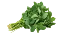 Fenugreek