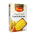 Shan Adrak Powder 50G