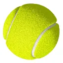 Sports Camel Ball